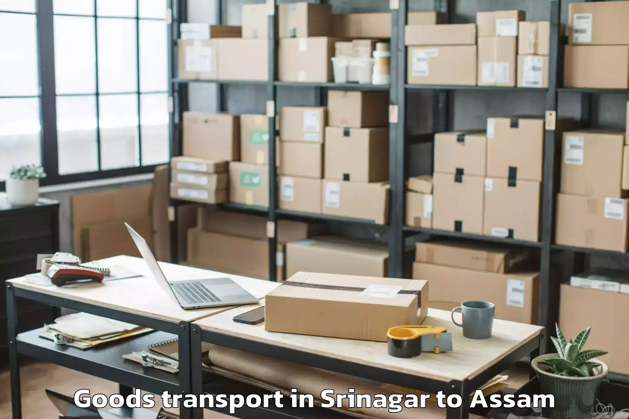 Discover Srinagar to Hojai Goods Transport